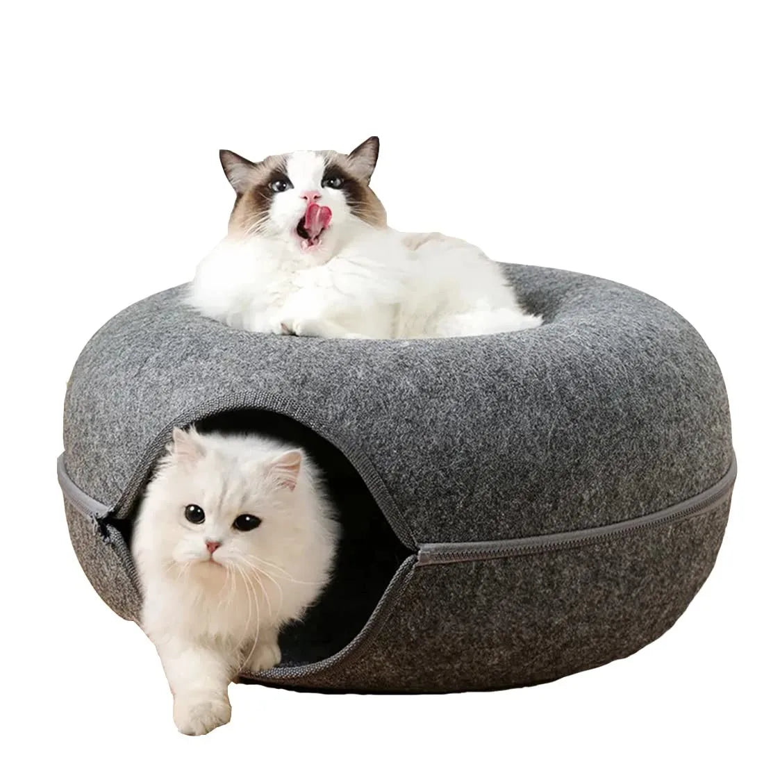 Donut-Shaped Cat Bed with Tunnel