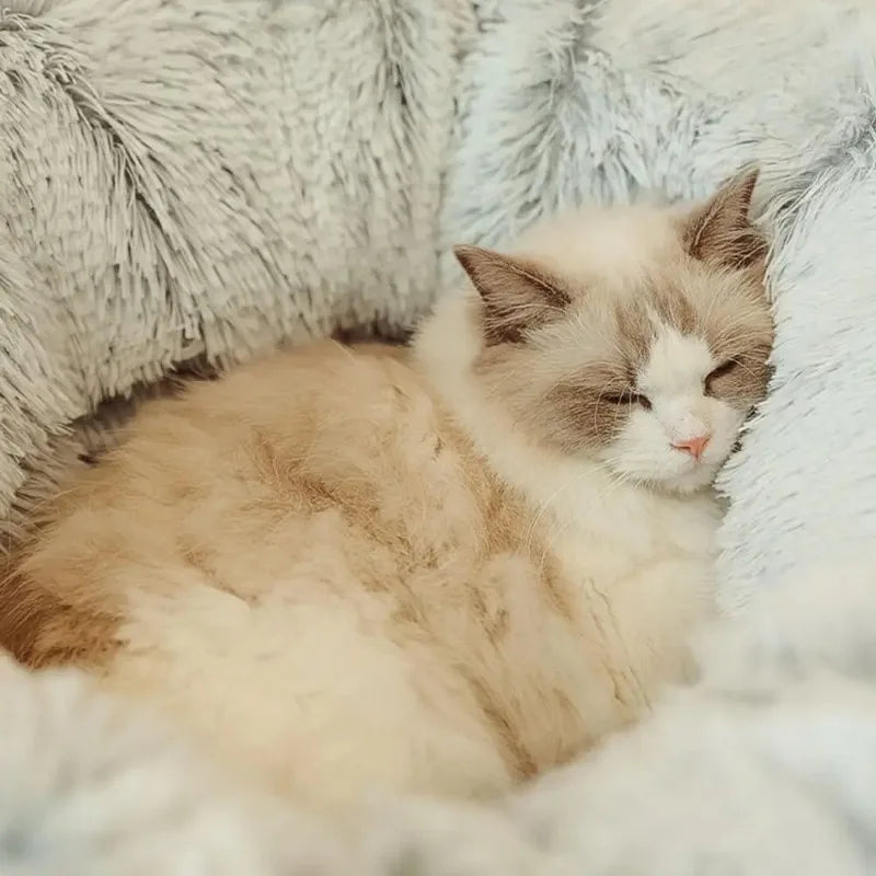 Fluffy Cat Tunnel Bed